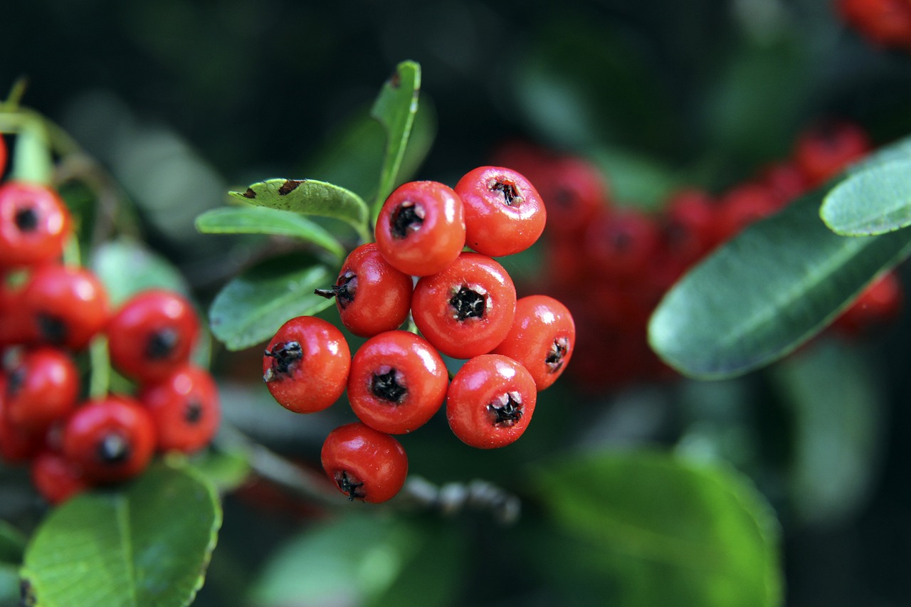 全北现代则 全北现代则