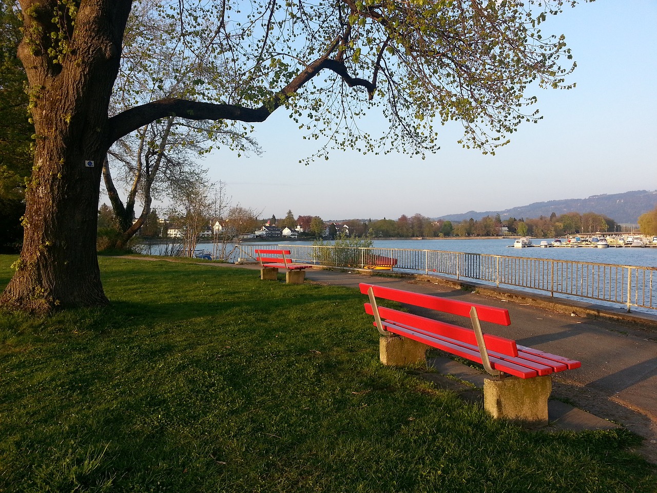 这不仅为球 这不仅为球