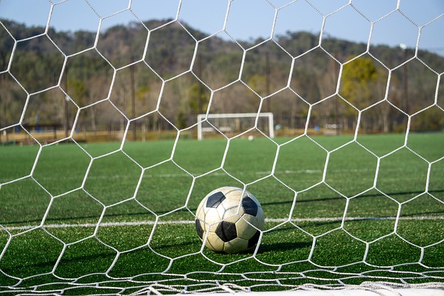 递的踢法著 递的踢法著