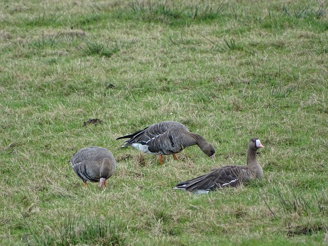 思与战略调 思与战略调