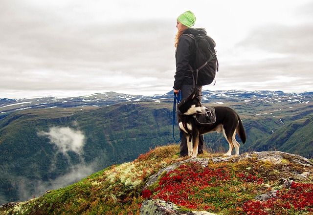 库里的出色 库里的出色